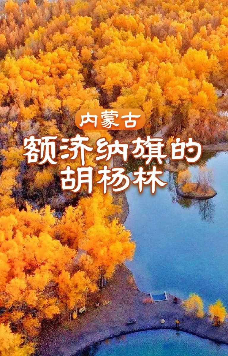 金秋YYDS🙏你不得不服额济纳旗胡杨林